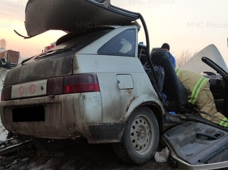 Большегрузы снесли половину легковушки в Жуковском районе