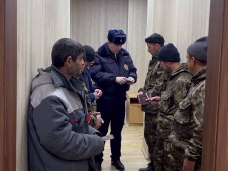 В Королеве задержали 15 нелегалов после жалобы жительницы в СК