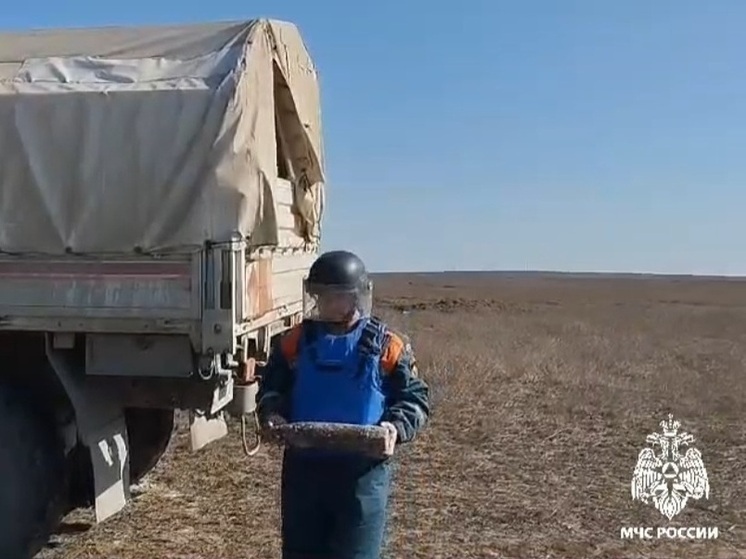 В Ленинском районе пиротехники обезвредили боеприпасы времён войны