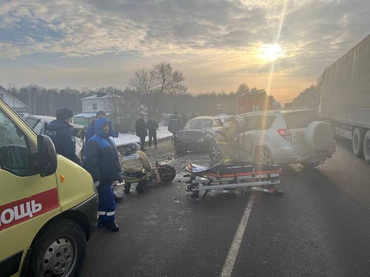 Два человека погибли в массовом ДТП на трассе М-5 в Рязанской области