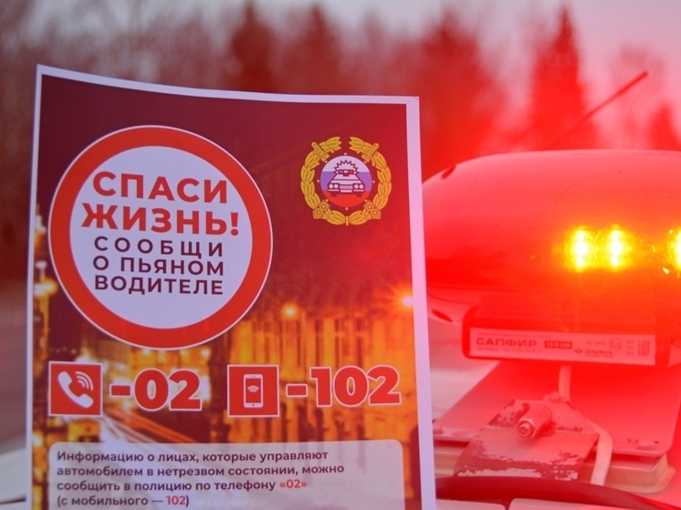 Два пьяных водителя из Смоленска и Ельни стали фигурантами уголовных дел