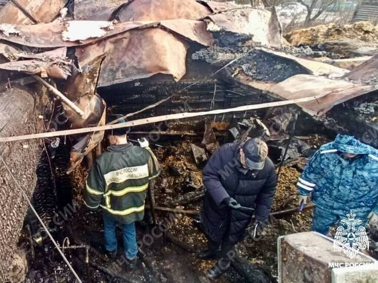 Стала известна причина пожара в Твери, где погиб подросток