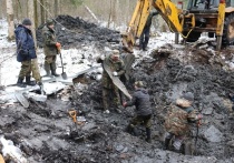 Сегодня группа солецких и демянских поисковиков при помощи добровольцев-энтузиастов провели раскопки неподалеку от деревни Молочково, где в 1941 году упал советский самолет ДБ-3, сообщил на своей странице ВКонтакте глава Солецкого округа Максим Тимофеев