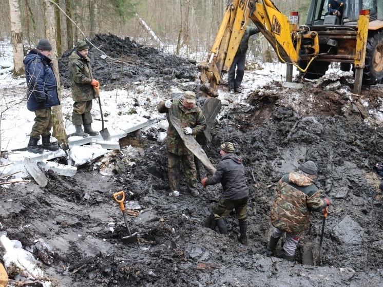 Новгородские поисковики нашли фрагменты самолета, разбившегося в 1941 году