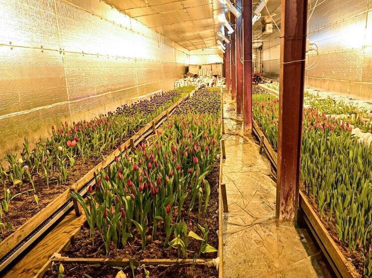 На 8 марта жителей Карелии ждут подарки местного производства