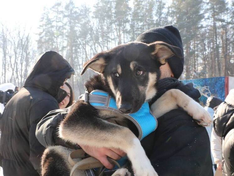 В Уфе в третий раз прошла акция «Ищу человека»