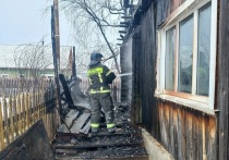 Трагедия произошла в селе Панкрушиха Алтайского края: в результате пожара в частном доме погиб пенсионер.