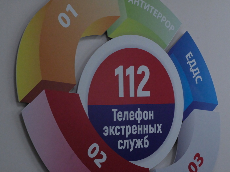 Жителя Улан-Удэ осудили за ложный донос