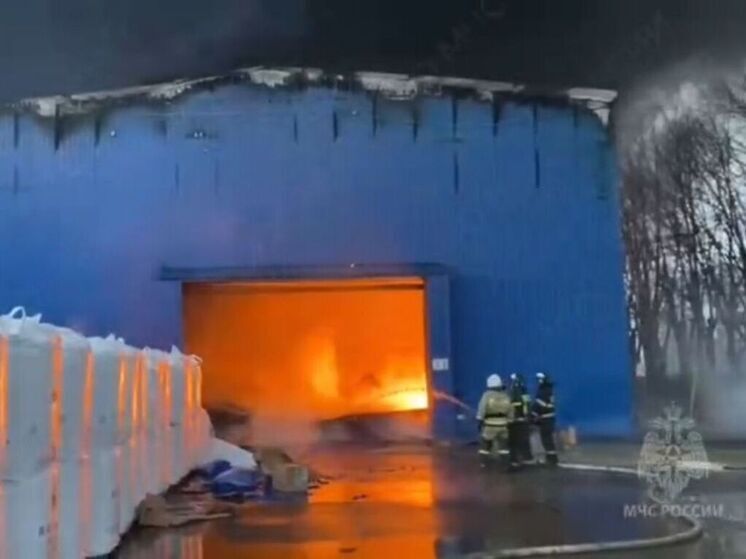 Крупный пожар вспыхнул на складе в Подмосковье
