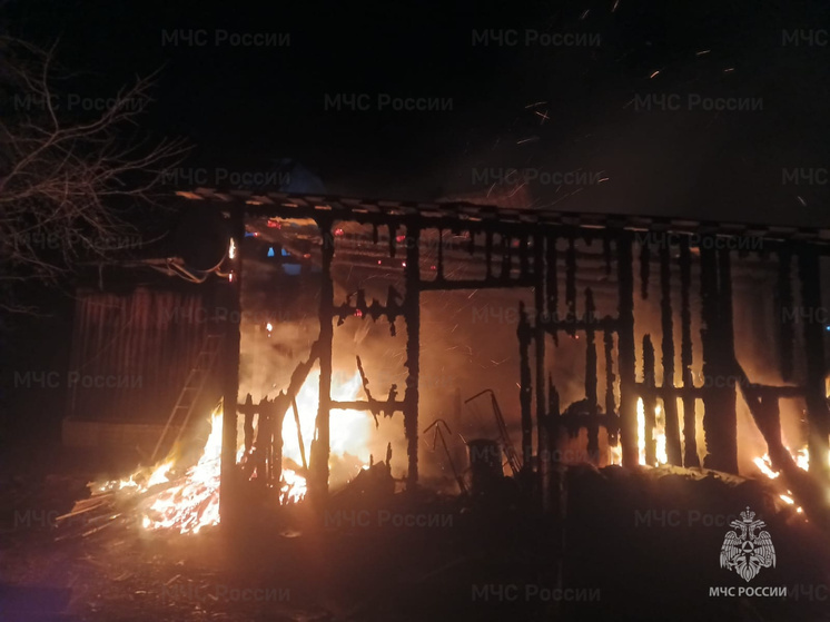 В Кировском районе тушили дом в деревне Большие Желтоухи