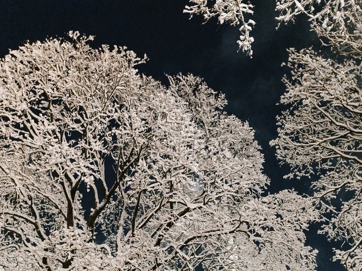 Мокрый снег с дождем ждет псковичей 3 марта