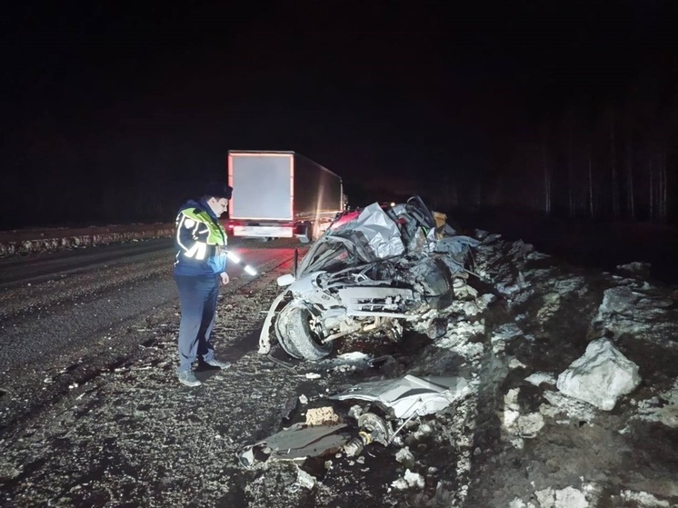 На Пермском тракте выпавший из фуры груз покалечил мужчину и двоих детей