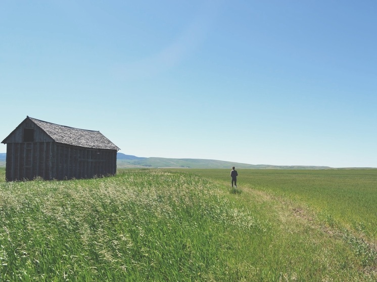 Жителей Калужской области предупредили о штрафах за заброшенную землю