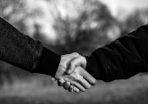 В Алтайском крае подвели итоги работы по поддержке проживающих за рубежом соотечественников в 2024 году. Заседание межведомственной комиссии края по вопросам работы с русским зарубежьем провел заместитель председателя правительства края Виталий Снесарь.