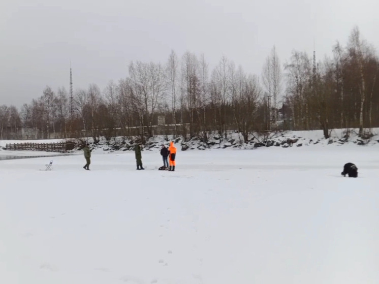 Спасатели провели рейды на ледовых полях Ленобласти