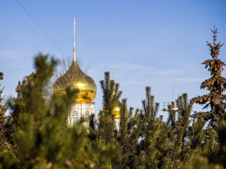 Врач Никишина назвала тулякам психологическую пользу от Прощеного воскресенья