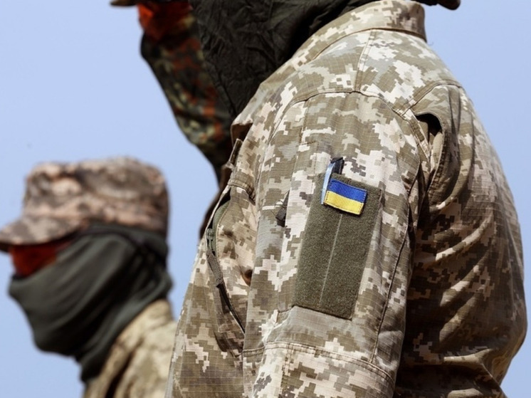 Страна.UA: на западе Украины насильно мобилизовали мужчину во время выгула собаки