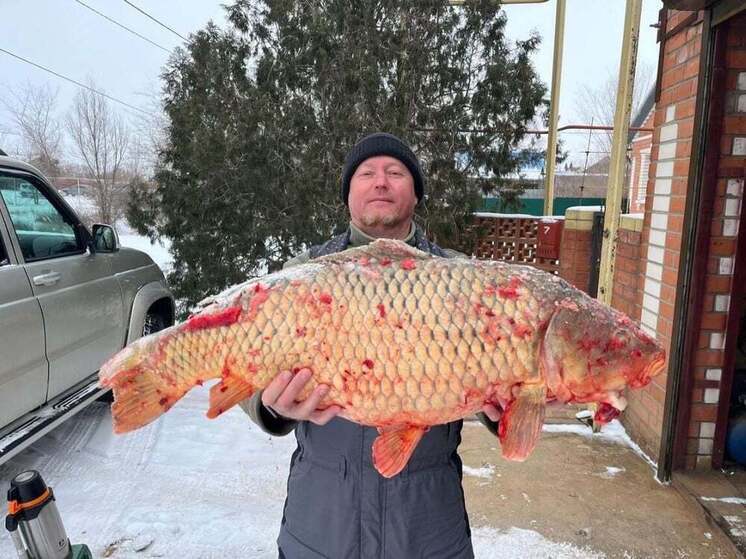 Житель Волгоградской области поймал гиганта-карпа