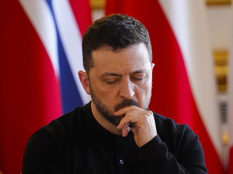 Американская журналистка Оуэнс сравнила Зеленского с соседом-наркоманом