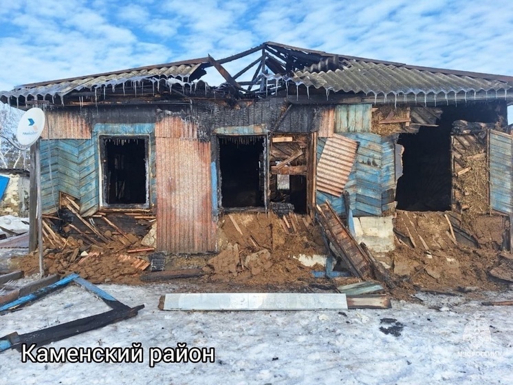 В Ростовской области 2 марта в результате пожаров погибли три человека