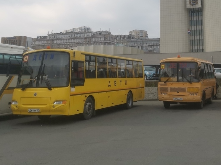 Прокуратура начала проверку из-за срыва учебного процесса в поселке Перевозное