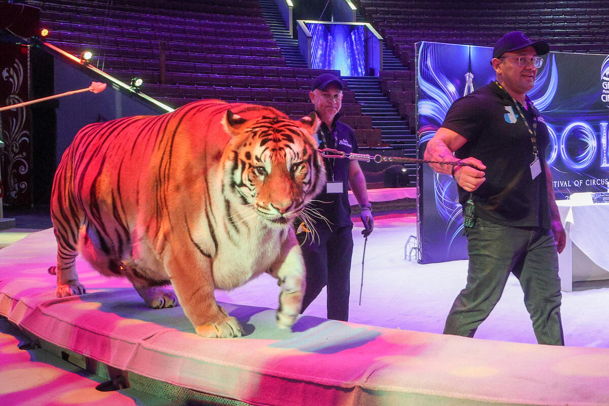 фото: Belkin Alexey/news.ru/Global Look Press