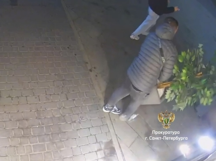 Влюбленный петербуржец не устоял и похитил искусственный фикус для любимой