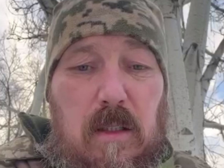 Боец «Филин»: ВСУ перебросили под Часов Яр элитный спецбатальон "Птицы Мадьяра"