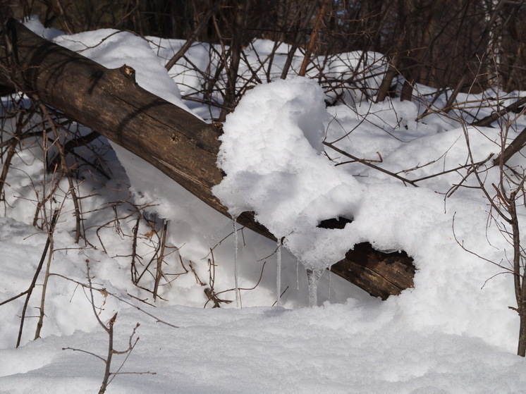 5 марта церковь отмечает день Льва Катанского