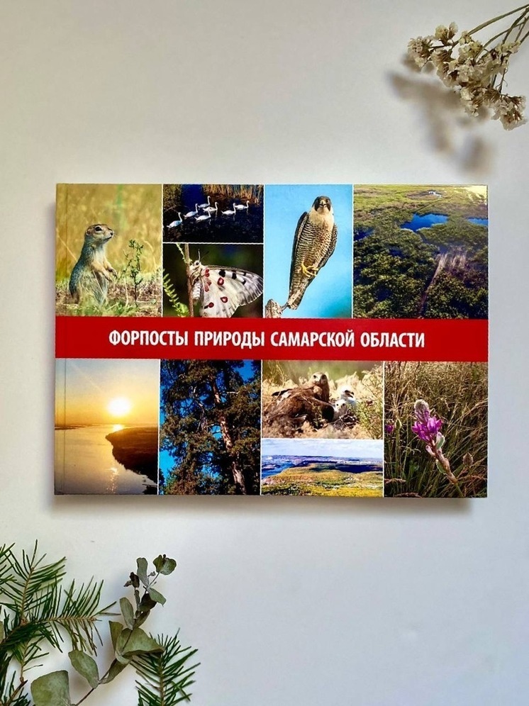 В Самаре представили книгу об особо охраняемых природных территориях региона