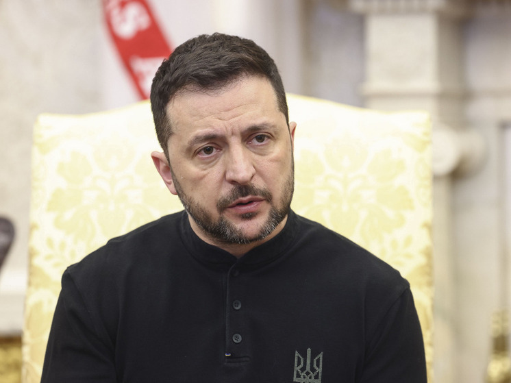 Spiegel: на Украине пожаловались на мировоззрение школьника у Зеленского