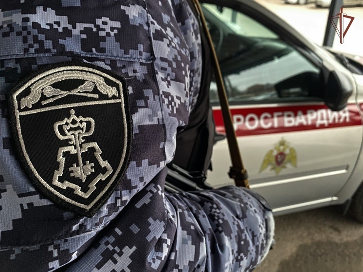 Смоленские сотрудники Росгвардии за неделю более 120 раз выезжали  по сигналу «тревога»