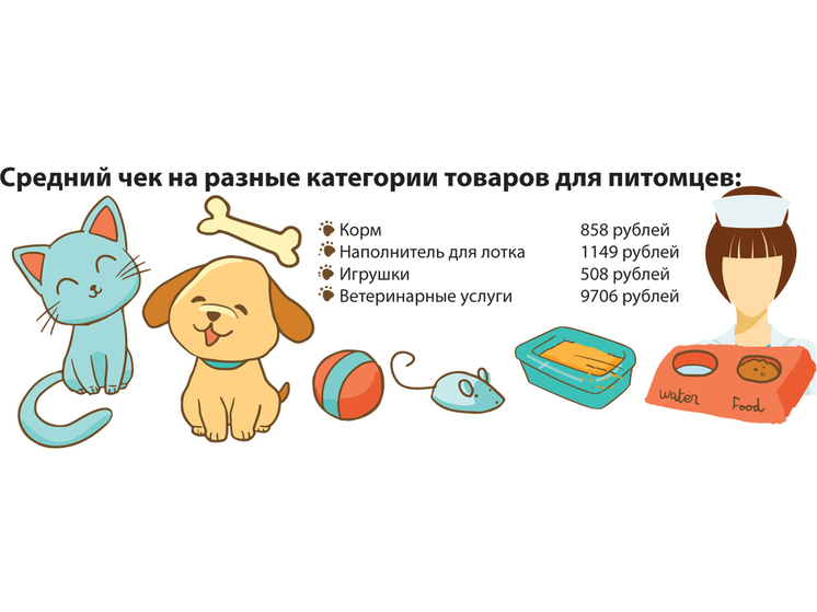 Сколько стоит содержать кошку в 2025 году