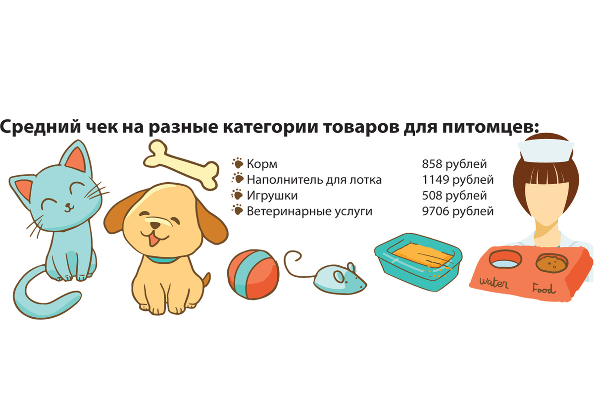 Сколько стоит содержать кошку в 2025 году - МК