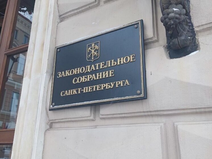 В Петербурге Митянина и Белоусов поборются за омбудсмена по правам ребенка