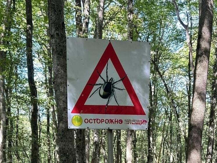 Ставропольцев предупредили о раннем пробуждении клещей