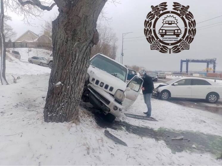 Камчатские водители в качестве тормозов используют деревья