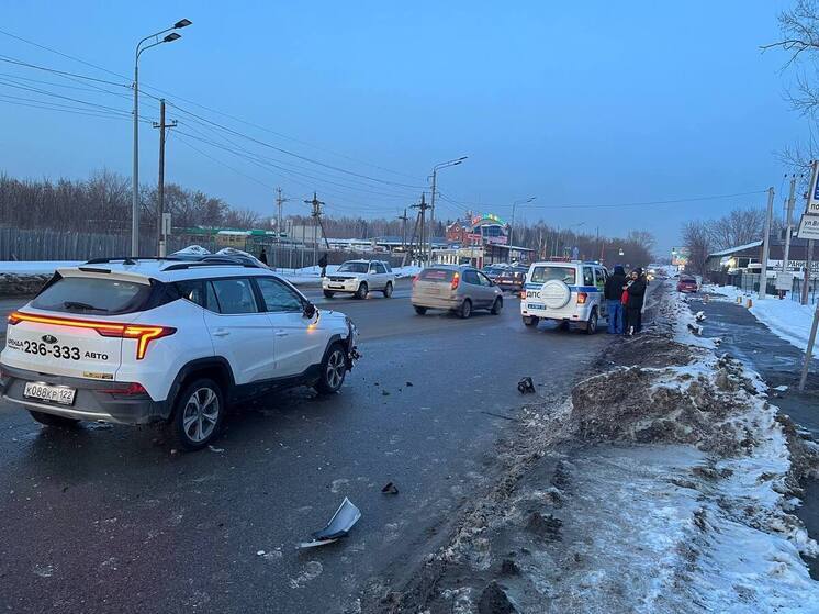 В Барнауле водитель «Москвича» на пешеходном переходе сбил женщину и ребенка