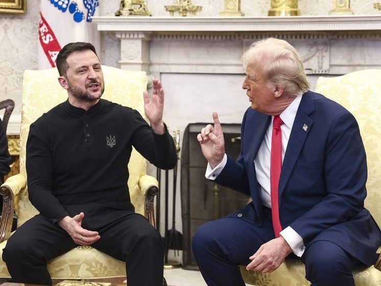 Политик Царев: в Белом доме приняли ключевое условие России после ссоры Трампа и Зеленского