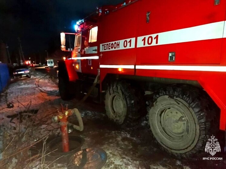 Пожар в неэксплуатируемой постройке в Богородицке 3 марта обошёлся без жертв