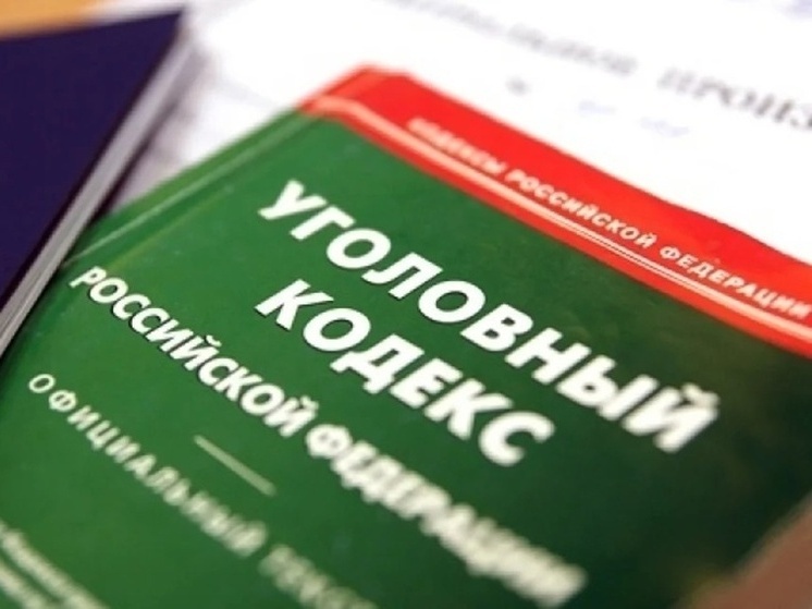 В Дятьково девочка свалилась со скалодрома: хозяин аттракциона пойдет под суд