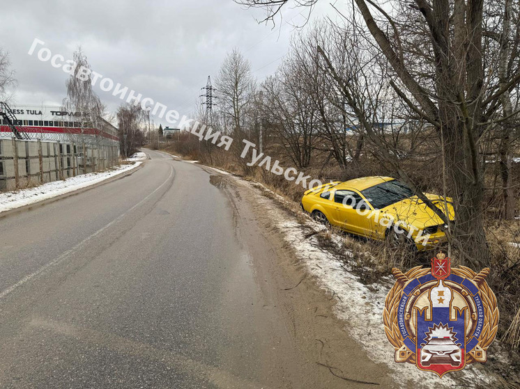 В Туле водитель Ford Mustang на скорости слетел в кювет и получил травмы