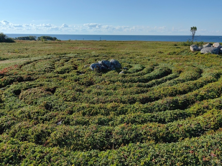 Финские ученые экспериментируют с археологией