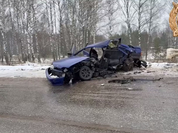 Прокуратура начала проверку после ДТП с двумя погибшими в Касимовском округе