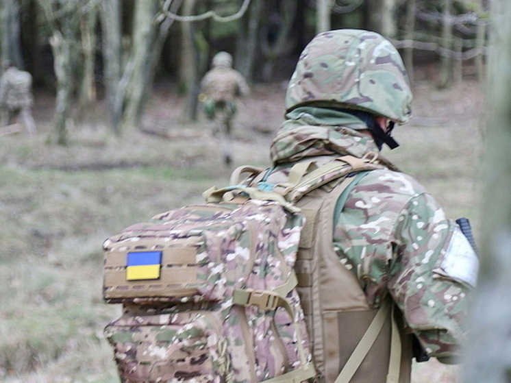 В курском приграничье боевики ВСУ открывают огонь по своим