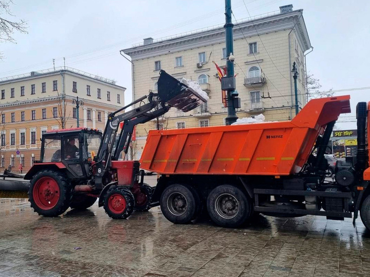 В Воронеже продолжается активный вывоз снега с городских парков и скверов