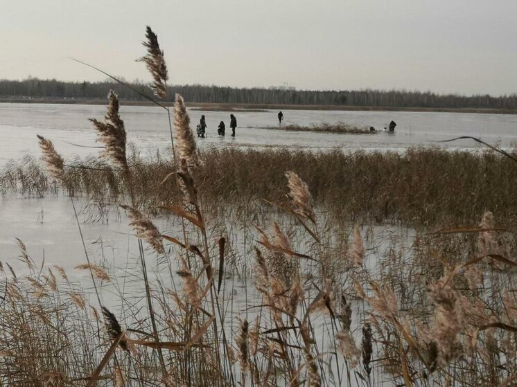 На юге Тюменской области заблаговременно готовятся встретить паводок