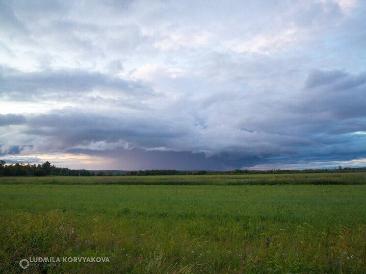 Сенатор от Карелии прокомментировал новый федеральный закон