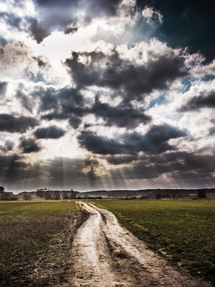 Многодетные семьи деревни Сатино пообещали больше не терпеть