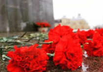 Поисковики движения «Находка» при помощи краеведов и местных жителей подняли обломки самолета ИЛ-4, упавшего в паре километров от Сольцов летом 1941 года, сообщает Новгородское областное телевидение